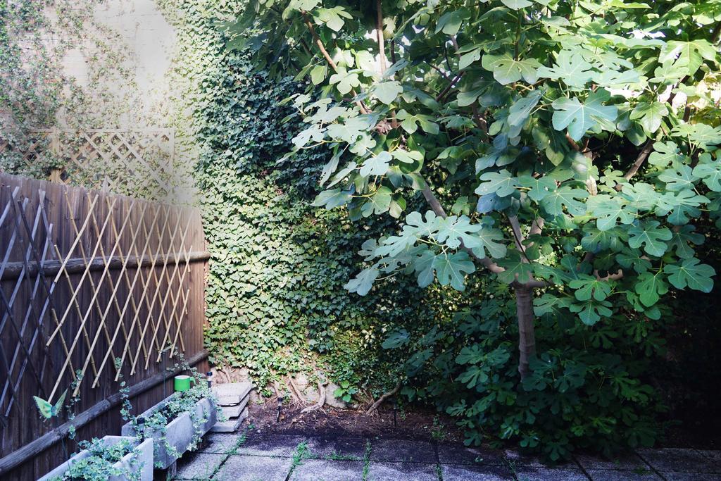 La Maisonette Et Son Jardin Velence Kültér fotó